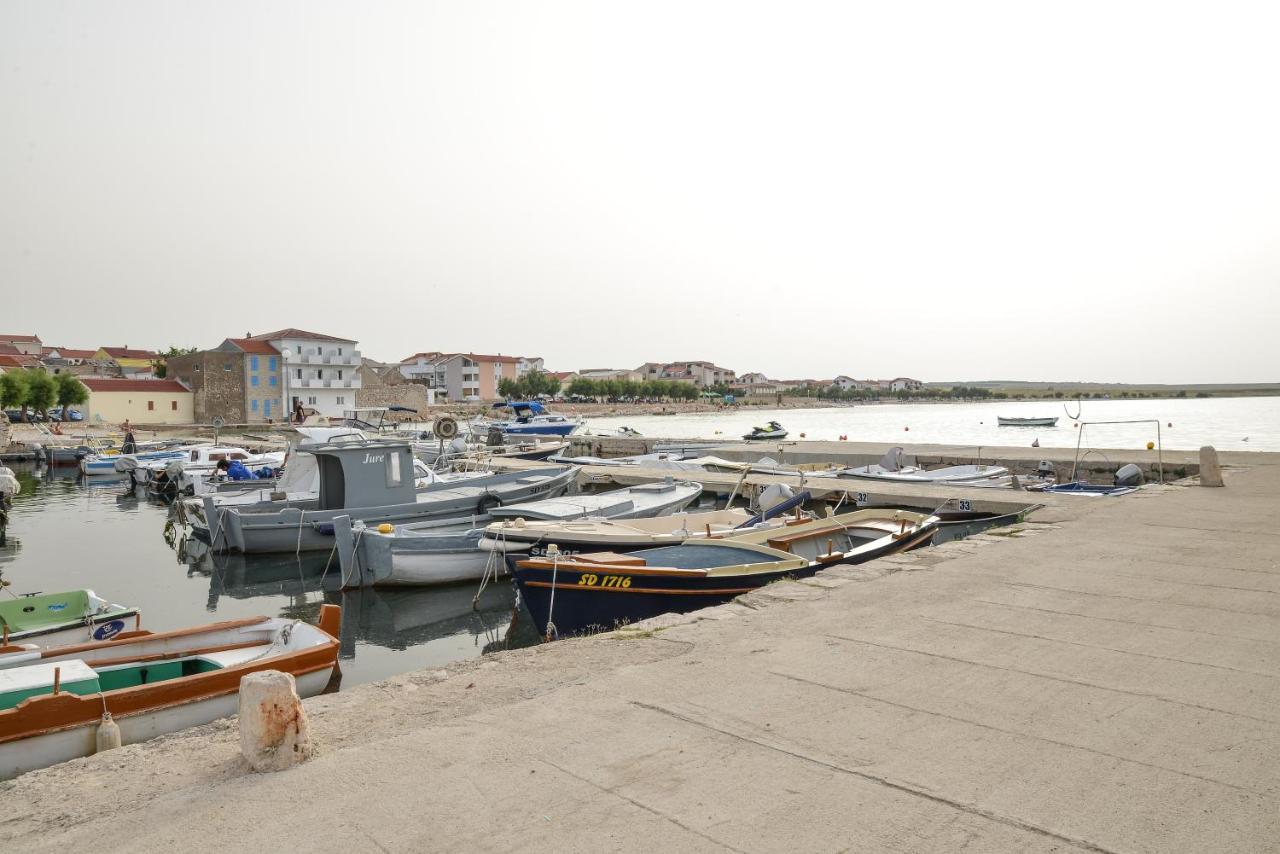 Olive 2 Zadar