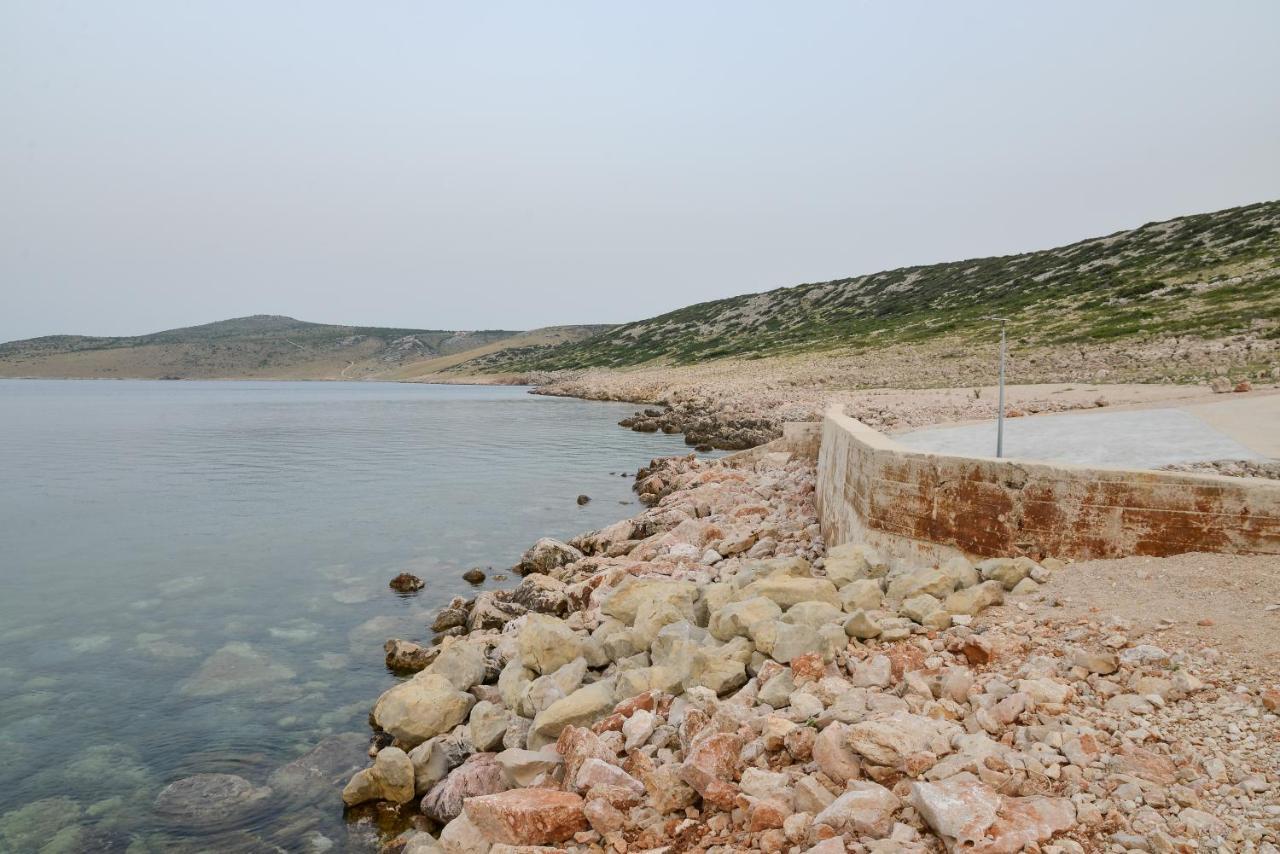 Olive 2 * Zadar