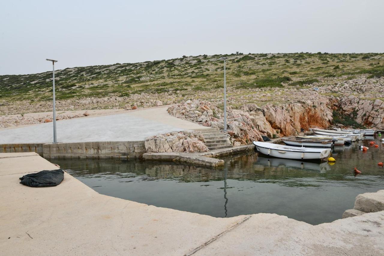 Olive 2 Zadar