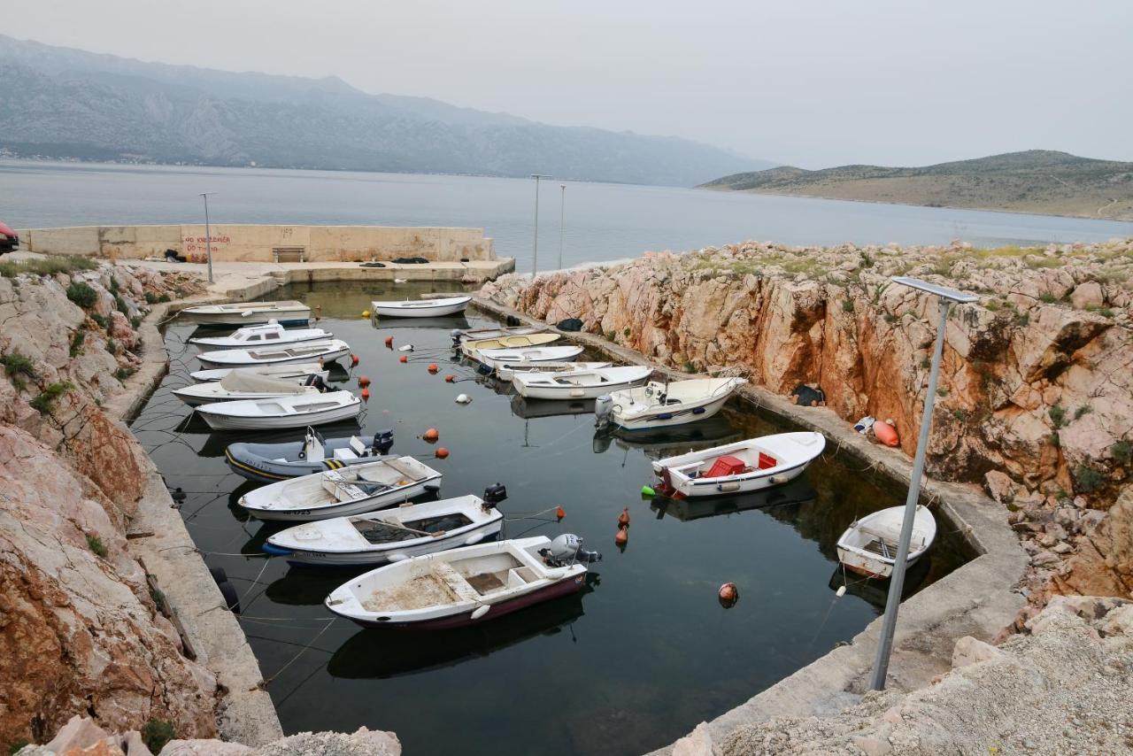 Olive 2 Zadar