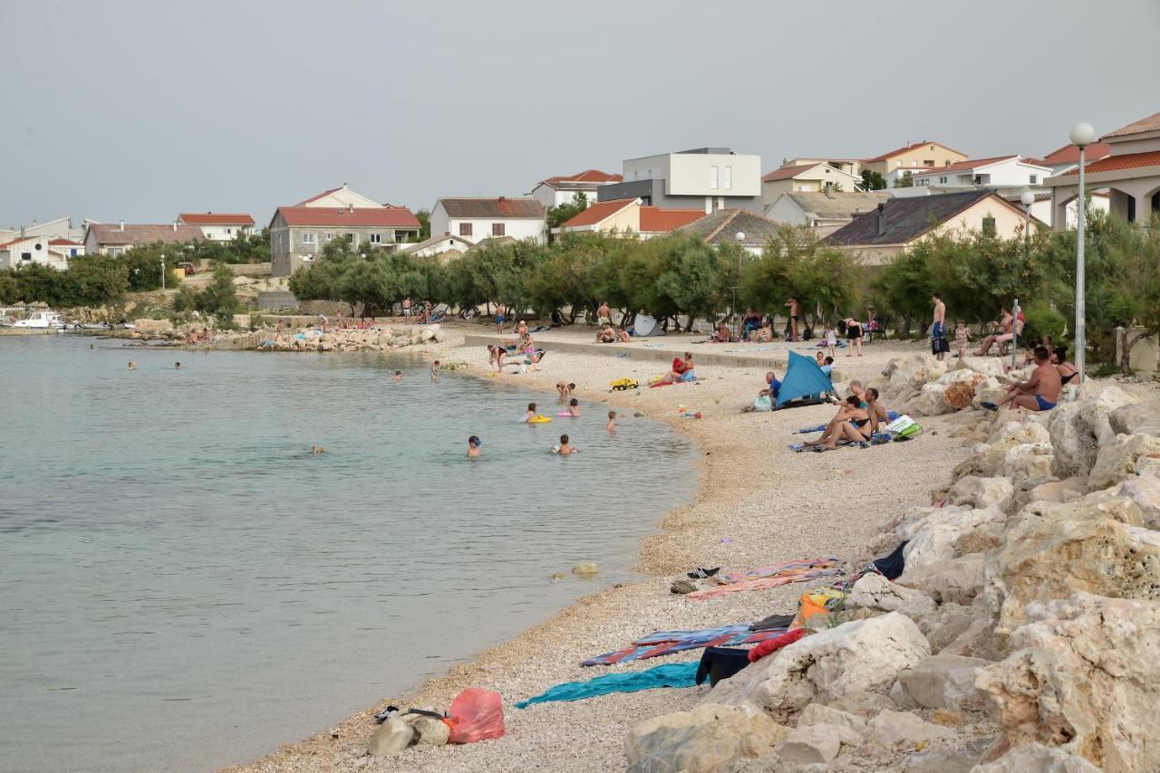 Olive 2 Zadar