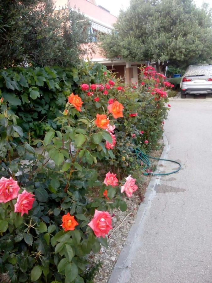 Olive 2 Apartmán Zadar